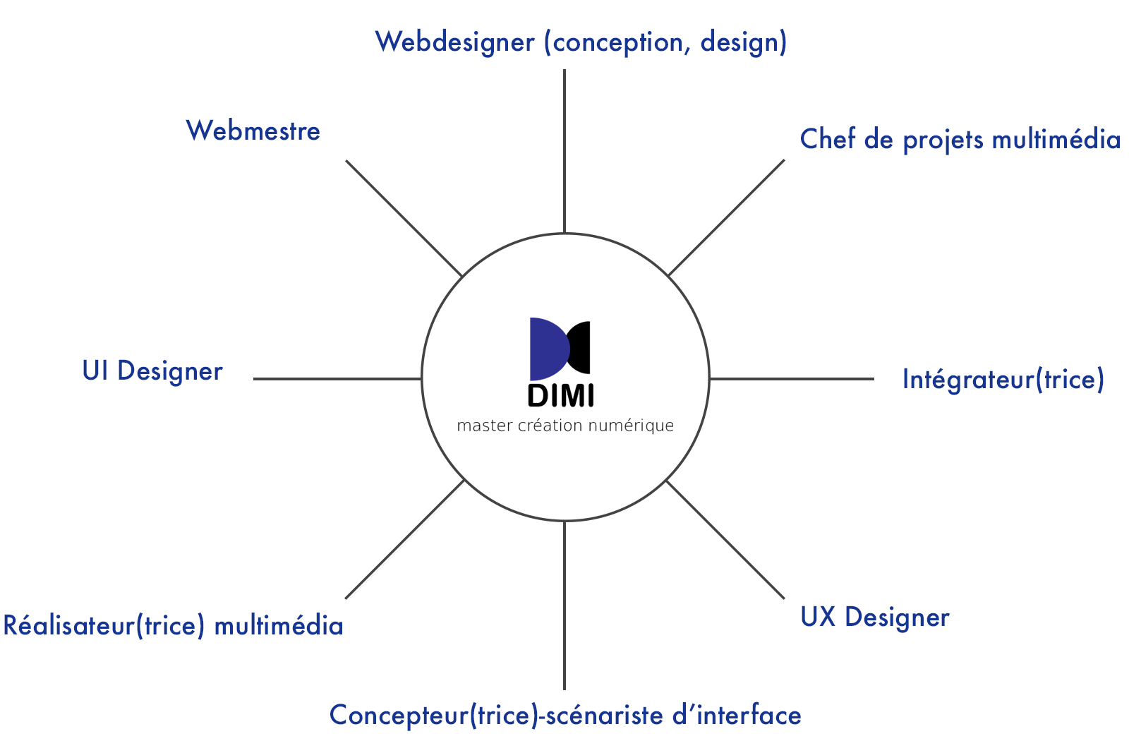 infographie sur les métiers possibles après le master DIMI